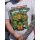 HHF Turtle - Power /white XS